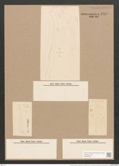 Pleurosigma sinense var. calcutense Grun. (de-Toni-Nr.: Genus 13, Species 1071) Zeichnungen Sammlung Grunow Nr. 1938 (NHMW-BOT-W0369073)